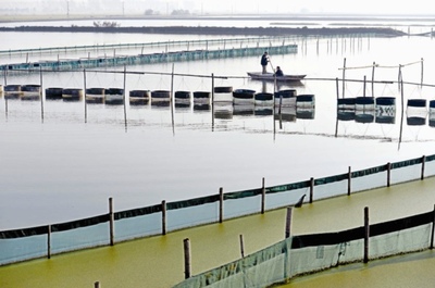 水產品養殖 技術與可持續發展的探索