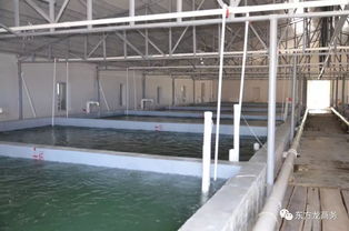 東方龍商務高端水產養殖全國布局項目政府對接會即將召開，共繪產業發展新藍圖