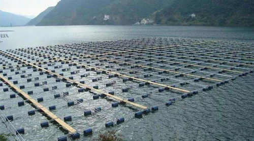 智慧漁業水產養殖模式的有效措施與實施路徑