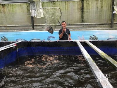 援藏新篇章 佛山助力墨脫水產養殖試點項目喜獲成功
